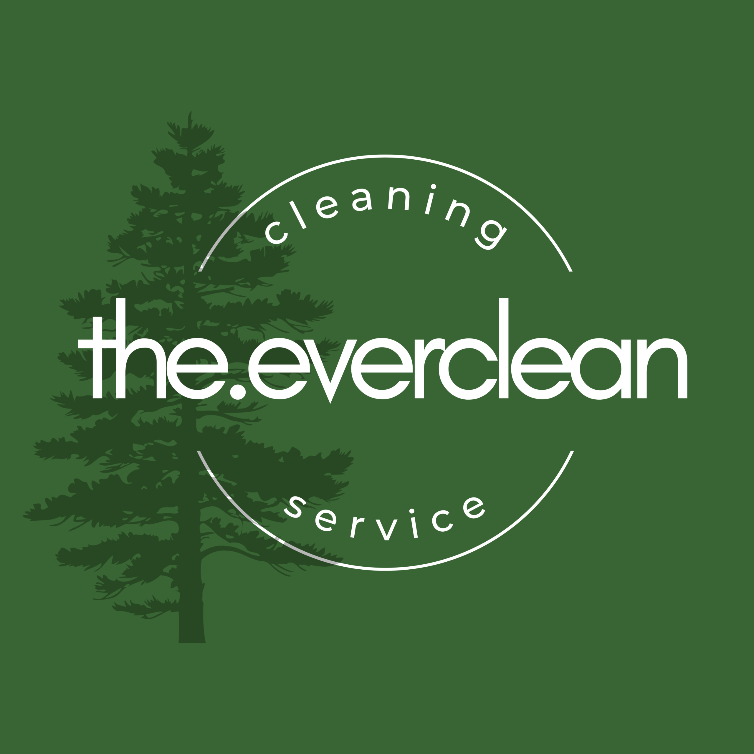 THE EVERCLEAN